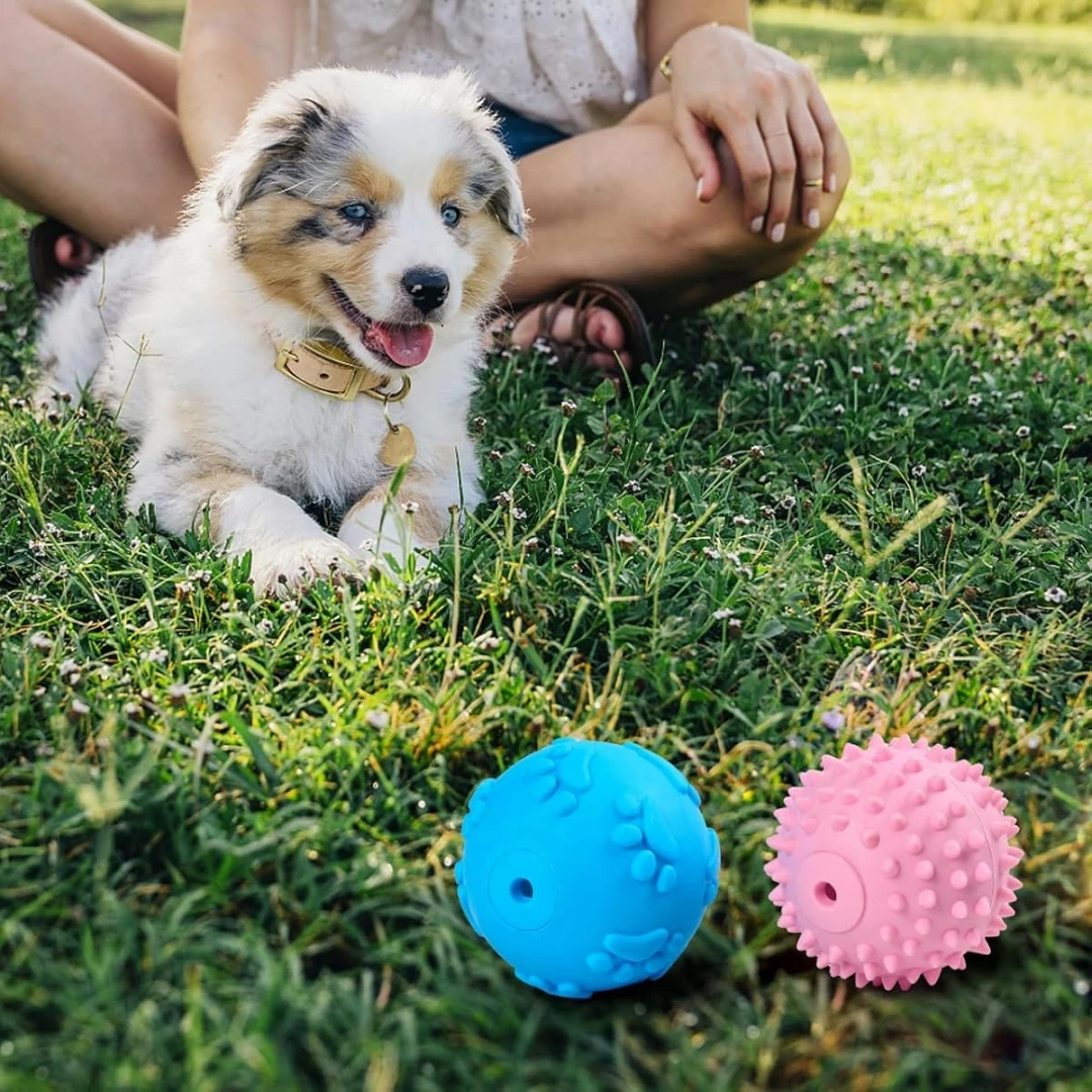 Puppy Ball Puppy Toy -2 Squeezing Dog Toys, Puppy Blue Laughing Ball Puppy Toy, Pink Puppy Toothing Chewing Toy, Puppy Interacti