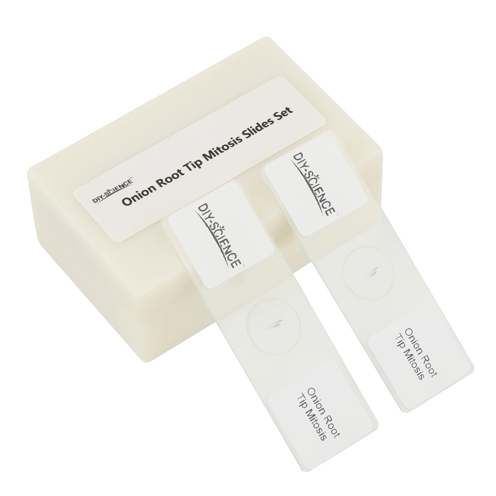 10pcs Allium RT-Stage Progression Microscope Slides for Classroom Observation & STEM Education