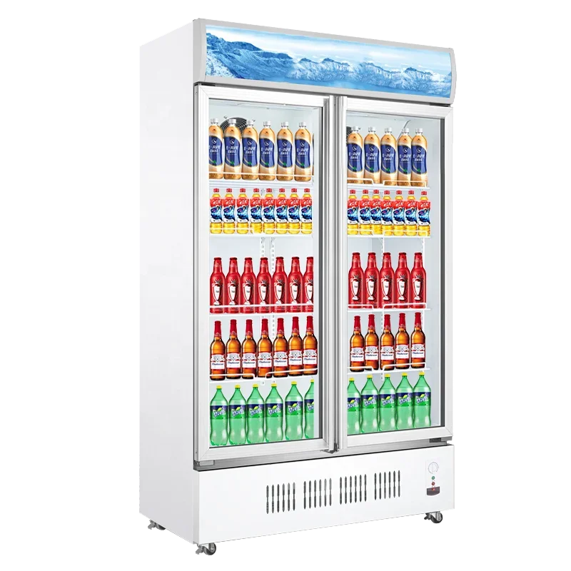 

Новые прочные однотемпературные коммерческие морозильные камеры со стеклянным дисплеем и воздушным охлаждением.