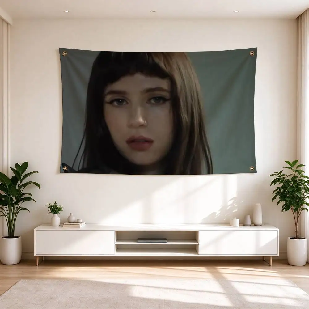 V-Vintage Pop Clairo  Flag Suitable For Party Club Outdoor Interior Wall Decoration Banner Fans Gift