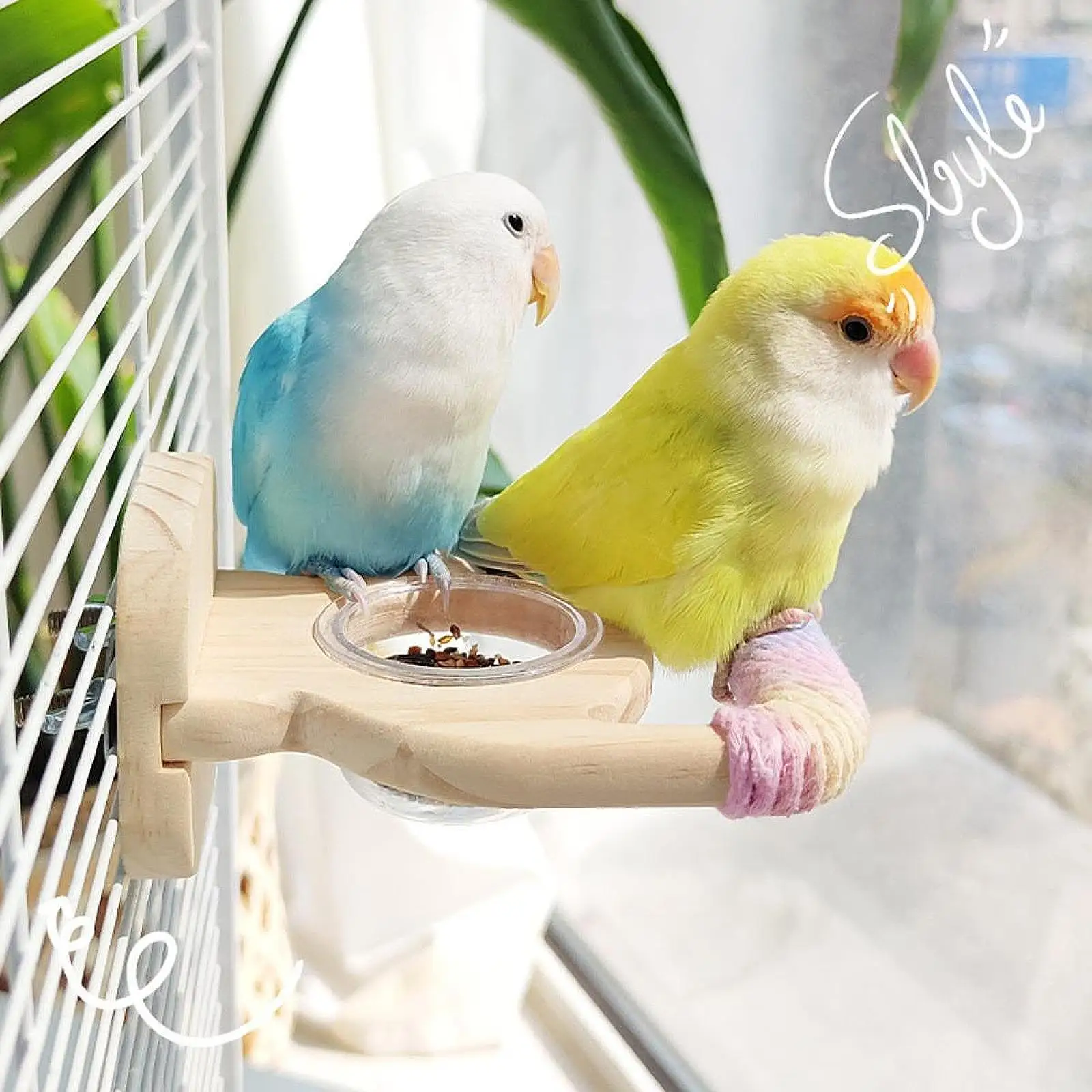 Bird Perch Compact Wood Perch Stand for Conures Small Parrots Parakeets