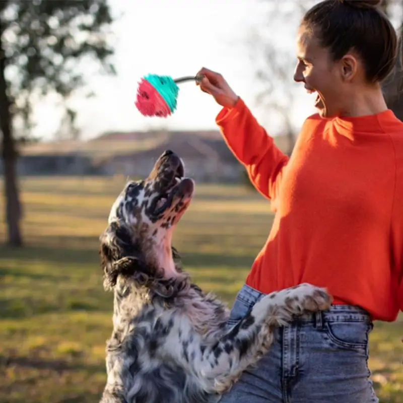 Pelota masticable para perros, puzle interactivo para mascotas, juguetes de estimulación Mental hinchable, suministros para mascotas para jugar, Limpieza de dientes