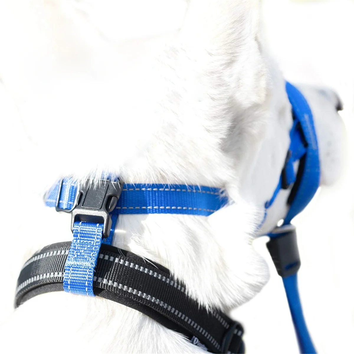 Dog Mouth Muzzles Anti Bark Dog Collar Breathable Dog Training Tool Nylon Muzzle Set with Reflective Strips, L-Blue