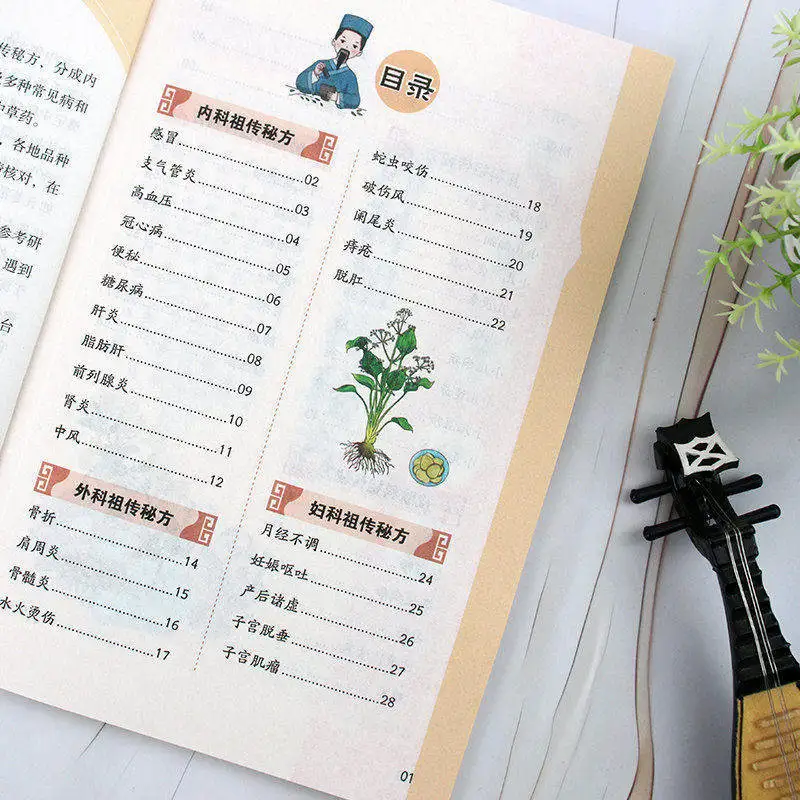 Complete Collection of Folk Ancestral Secret Remedies Traditional Chinese Medicine Health Books Beginner's Guide to TCM Basics
