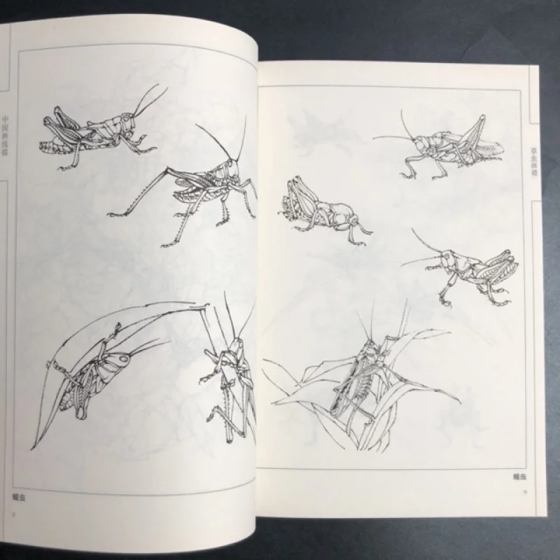 Coloring Book for Adults and Teens Featuring  with Easy and Simple Designs for Relaxation Chinese painting sketch