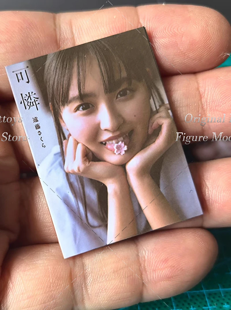 1/6 1/12 스케일 군인 장면 액세서리 우메자와 미나미 야마시타 미즈키 미니어처 포토 앨범 12인치 6인치 액션 피규어 인형용