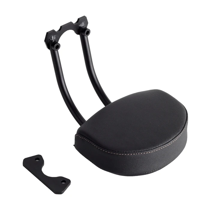 

Motorcycle Low Passenger Backrest Kit for Harley Sportster S 1250 RH1250 S 2021-2022
