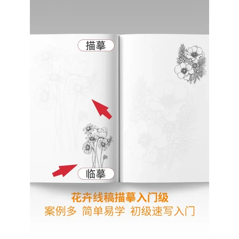Practice flower line drawing line draft textbook children's drawing sketch tutorial