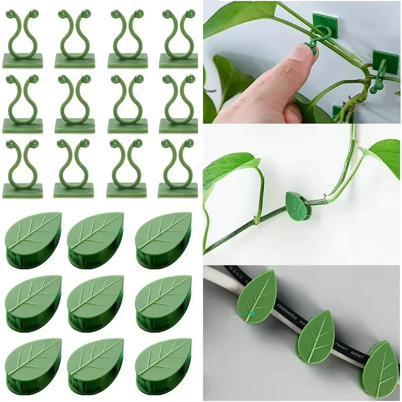 Invisible Plant Climbing Wall Clips, Self-Adhesive Vine Traction Holder Hooks for Indoor Outdoor Plants