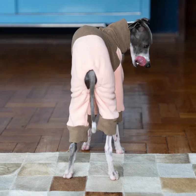 Iggy-Turtleneck for Dogs, Soft Elastic Stitching Clothes, Four-legged Clothes, Greyhound, Hairless, Orange