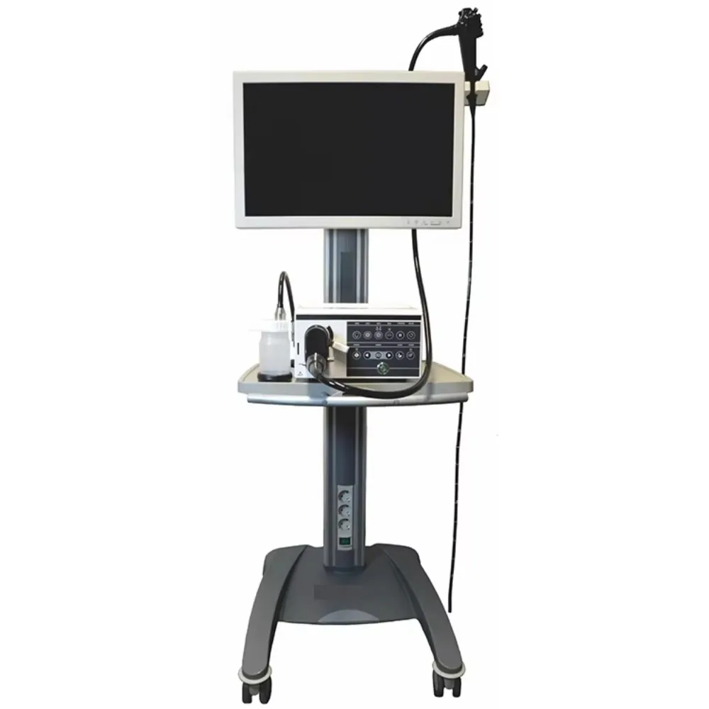 1.8/2 mm Animal with 2.8 mm Video Endoscope Horse/Flexible Veterinary Endoscope Large and Small Animals Price
