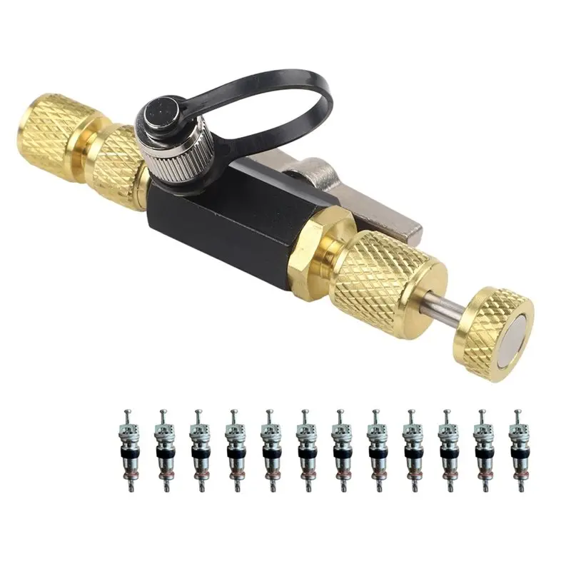 

A34R Valve Cores Disassembly Tool With 12 Pieces For 1/4-Inch And 5/16-Inch Vacuum-Rated 20 Micron Removal