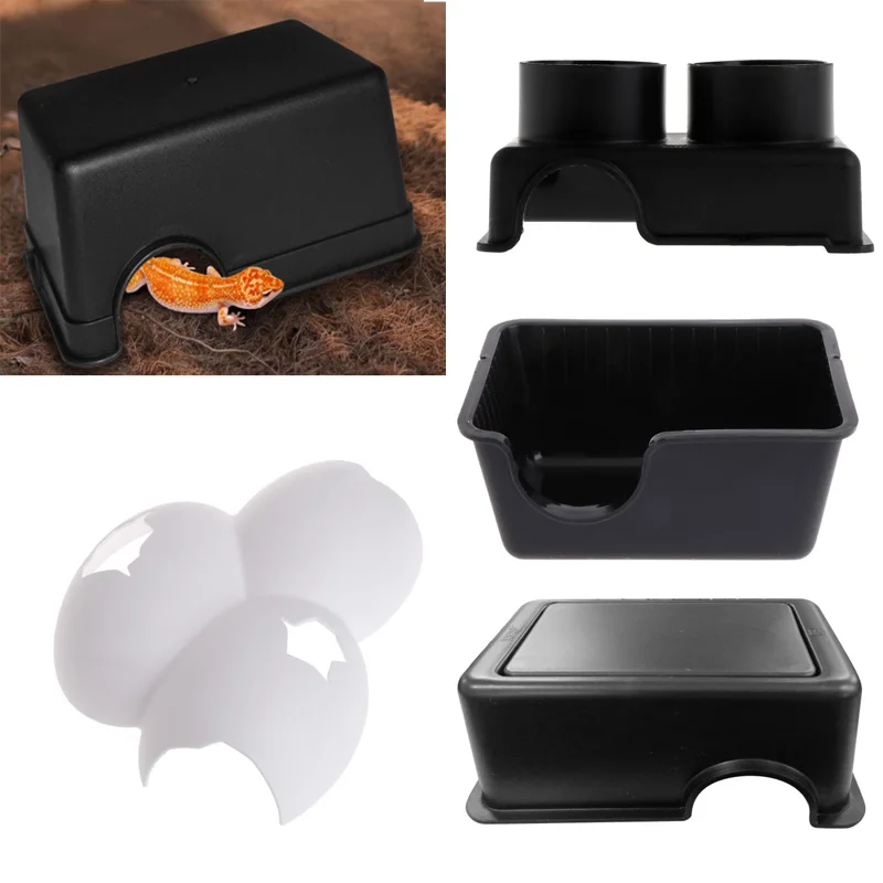 La Mejor Caja de Escondite para Reptiles: ¿Realmente Funciona en Terrarios de Serpientes y Lagartijas?