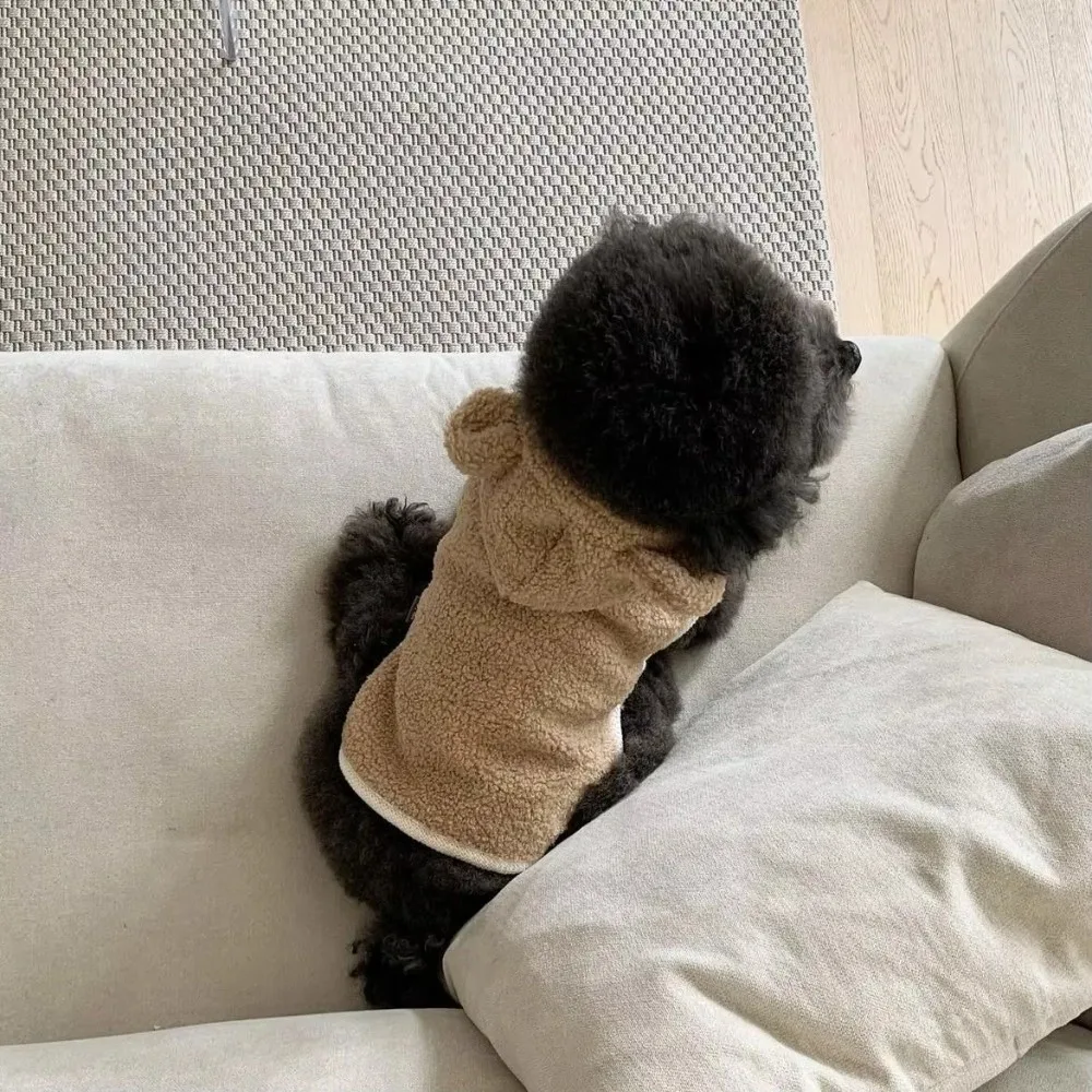 

Новая теплая одежда для домашних животных, накидка для кошек, Тедди, утолщенная одежда для щенков, жилет с капюшоном для маленьких собак, накидка на осень-зиму