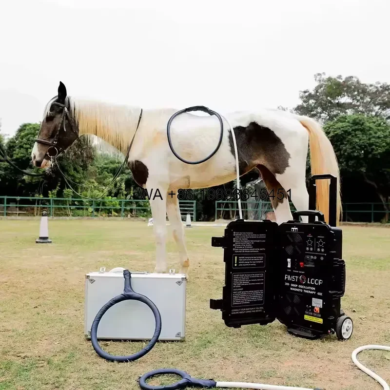 Wmwmnu Magnetic for Horses Pain Relief Physical Equipment