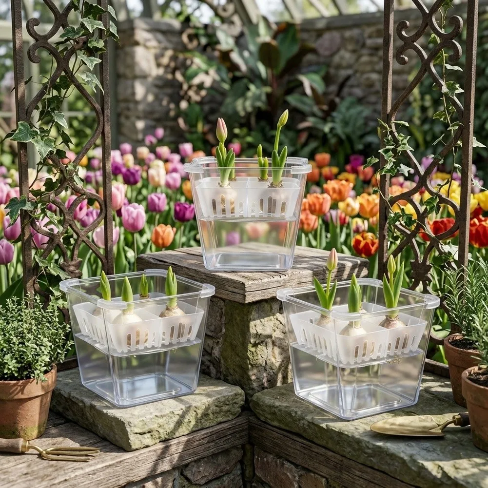 4 Pack Flower Bulb Planting Basket with Water Reservoir Basin for Indoor Balcony Garden and Nursery Applications