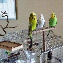 Pet Toys Parakeet Budgie Hanging Play Toys Bird Cage Wood Branch Stand Perches Parrot Wooden Holder Perches