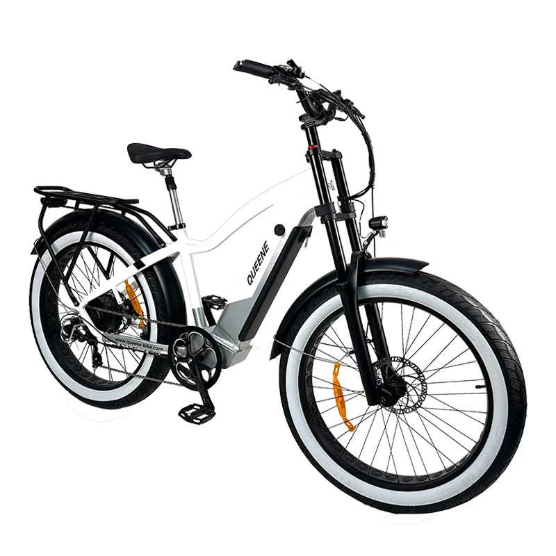 High Speed Motor Fat Tire Mountain E Bike 1000w 48v Electric Bicycle For Adults