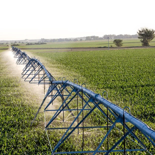 

2024 Farmland Large Pivot Irrigation Sprinkler Machine with Electricity Drive /linear Move Irrigation System on Sale