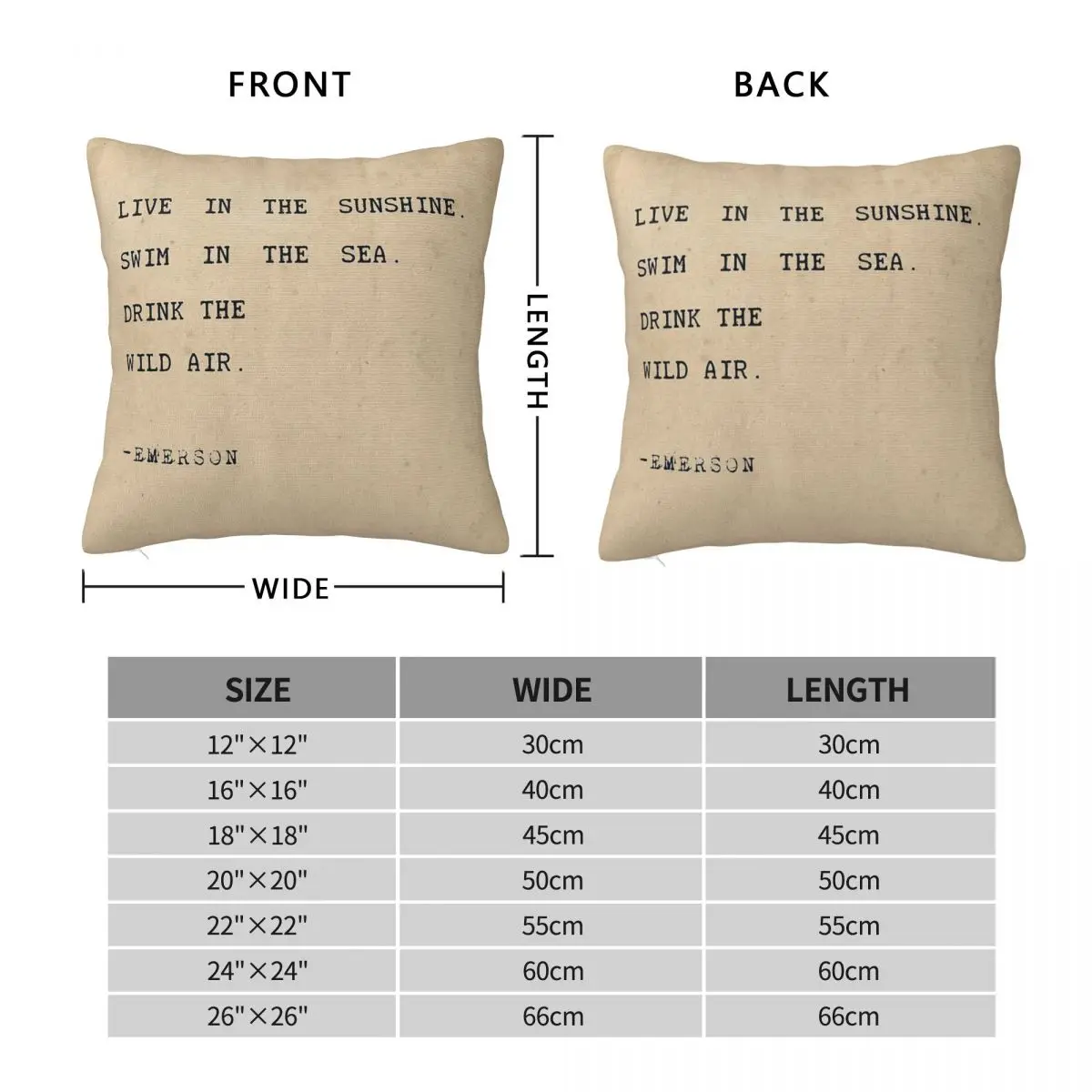 Ralph Waldo Emerson Live Swim Drink Square Pillowcase Polyester Linen Velvet Pattern Zip Decor Pillow Case Bed Cushion Cover