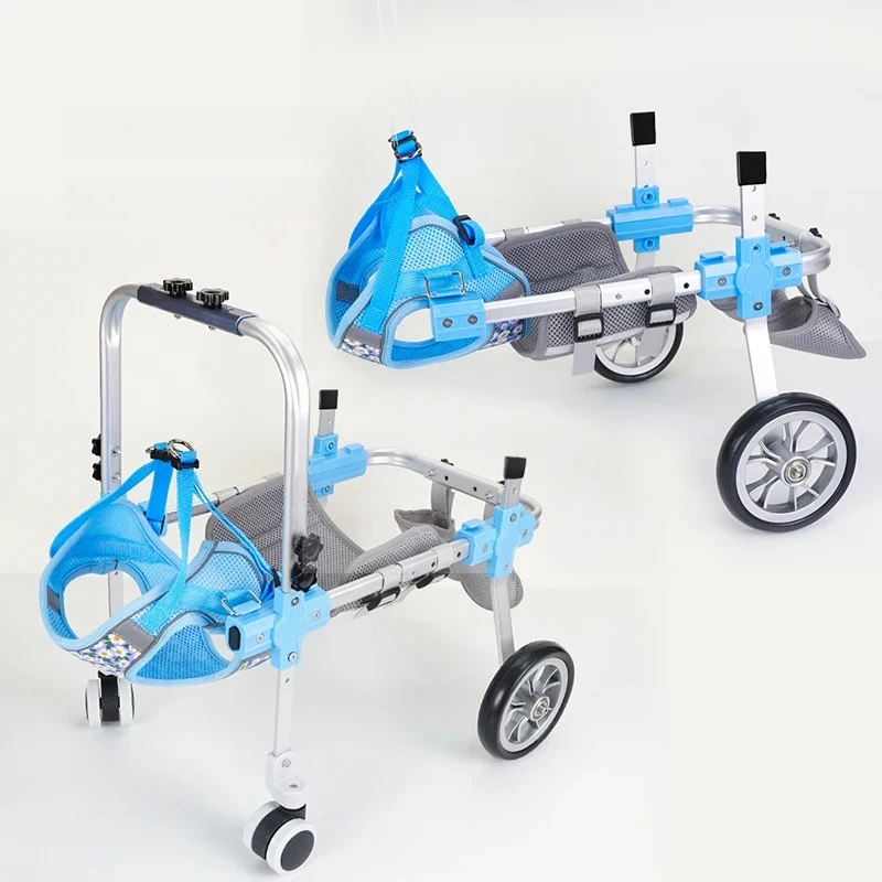 Thumbnail 2 - #18 Ranked Pet Agility Equipment Picks in 2026