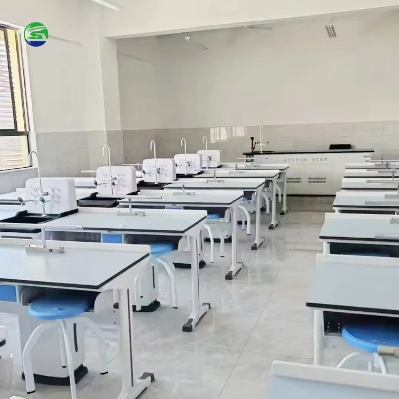 Steel Physics Science Laboratory Equipment for Schools Modern Design Guangdong Made Lab Table and Chair