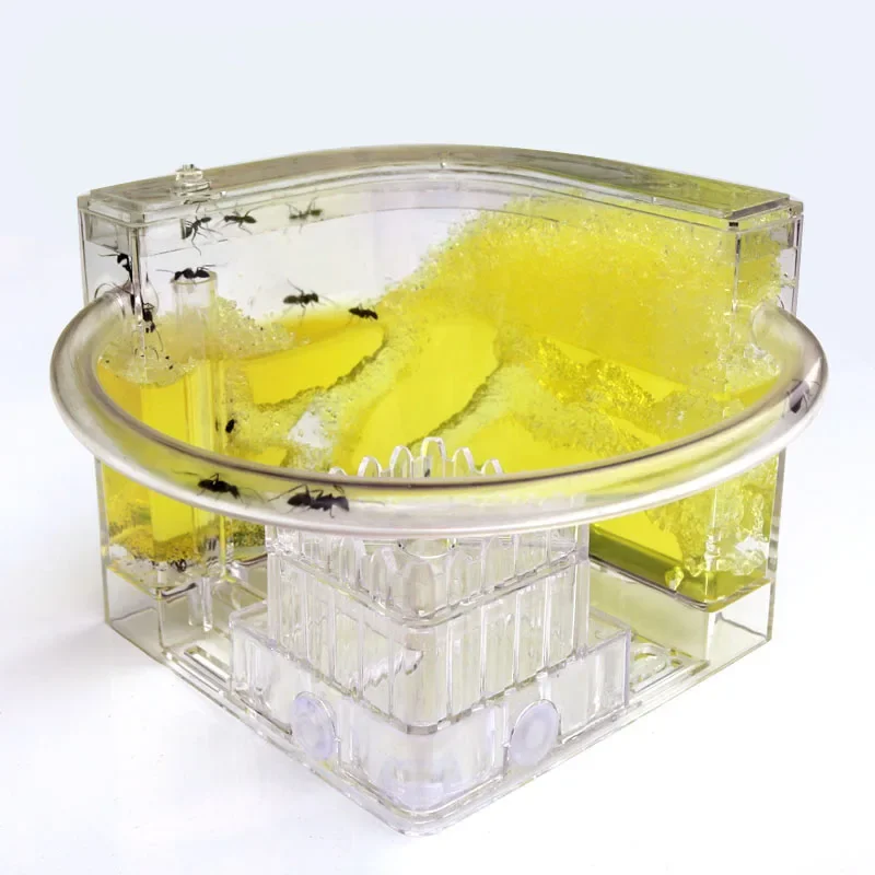 Thumbnail 2 - #30 Best Ant Farms to Buy In 2026