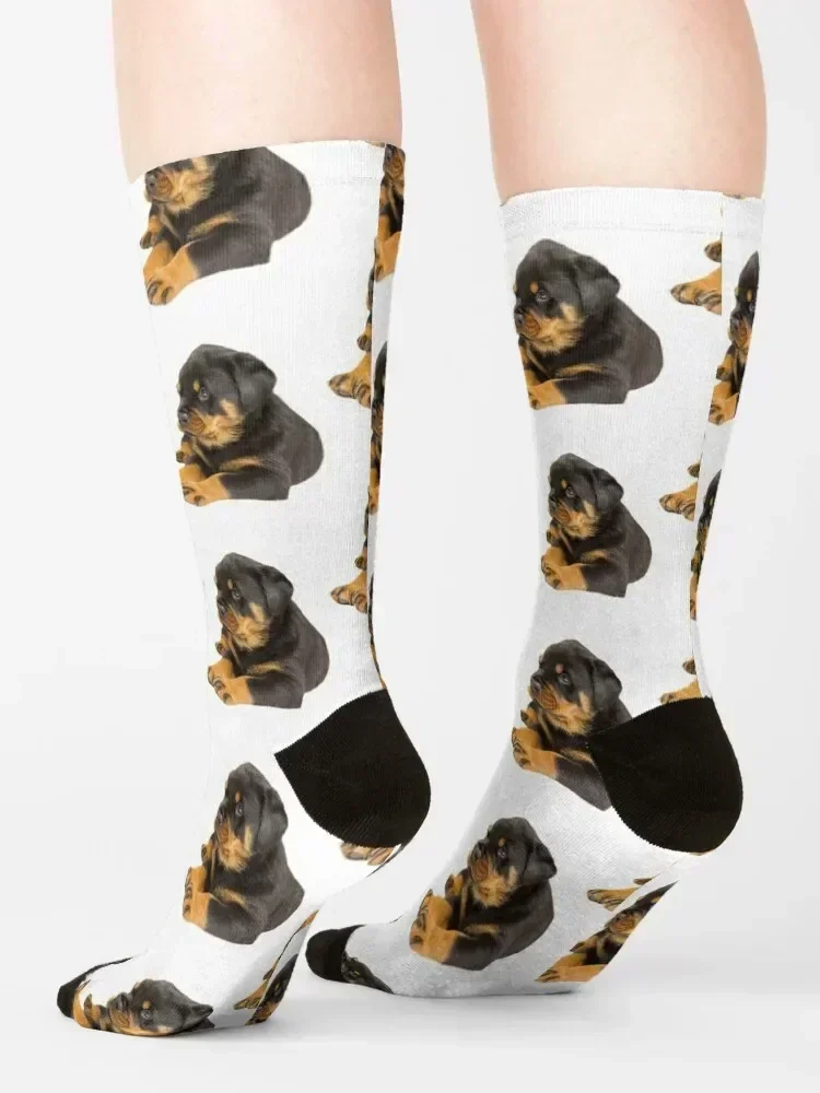 ROTTWEILER DOG TSHIRT Socks bright garter Christmas gym floral Men's Socks Women's