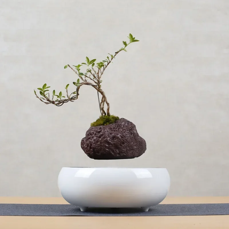 Lewitująca doniczka powietrzna Bonsai Obrotowa doniczka Doniczki Zawieszenie magnetyczne Pływająca doniczka Roślina doniczkowa Dekoracja biurka