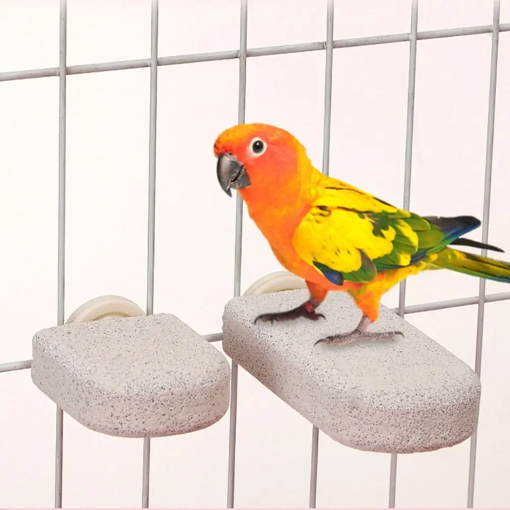Bimsstein-Papageienständer, Zahnschleif- und Krallenschleifbrett, abnehmbare Vogelruheplattform zur Langeweilebekämpfung, Vogelsitzstange – Detail 5