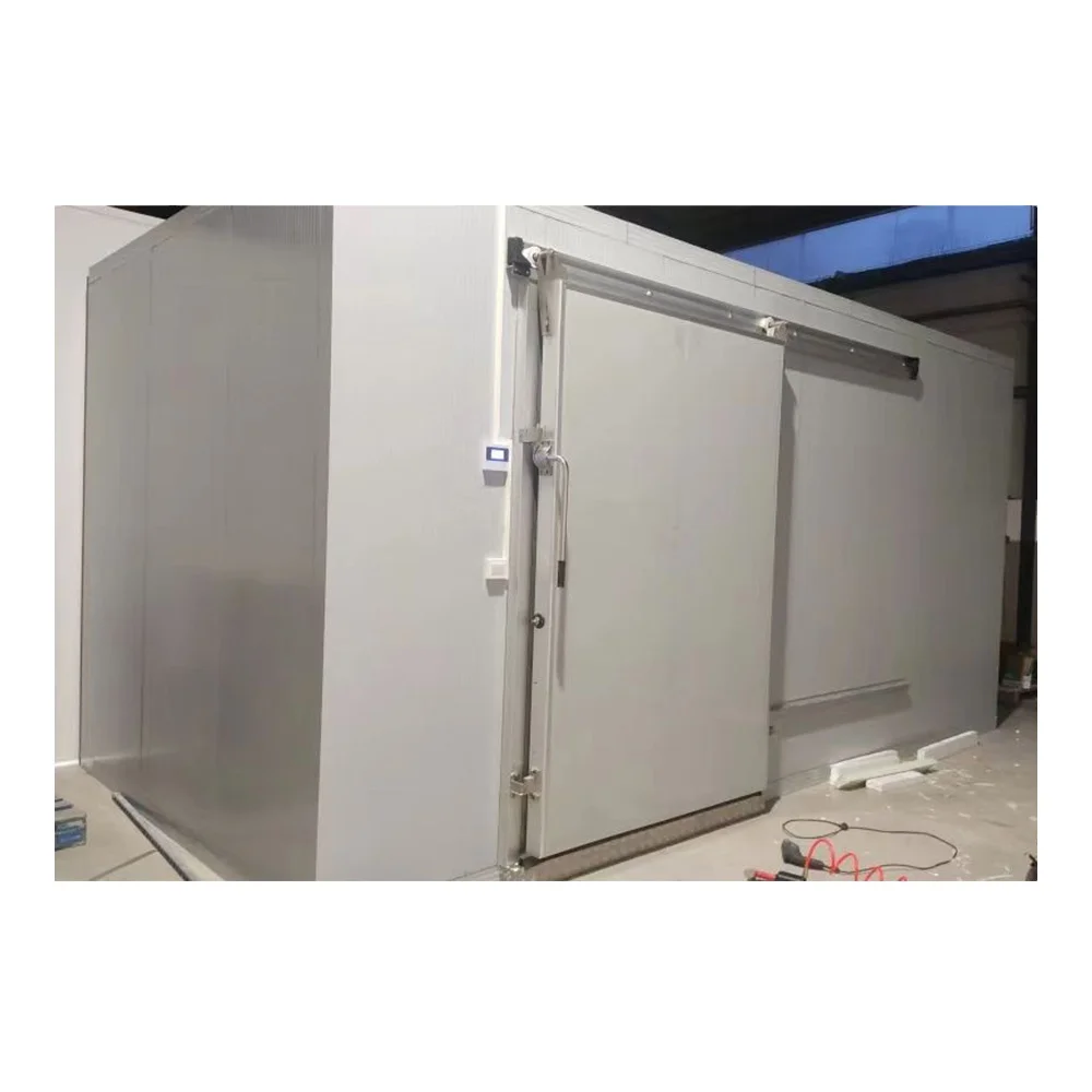Automatic Sliding Door Curtain Motor Remote Control Cold Room Temperature Regulation-Comprised