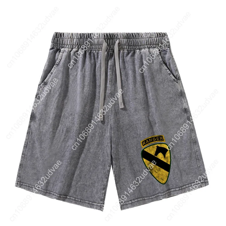 Рисунок 2 - 1st Cavalry Division Ranger 1st