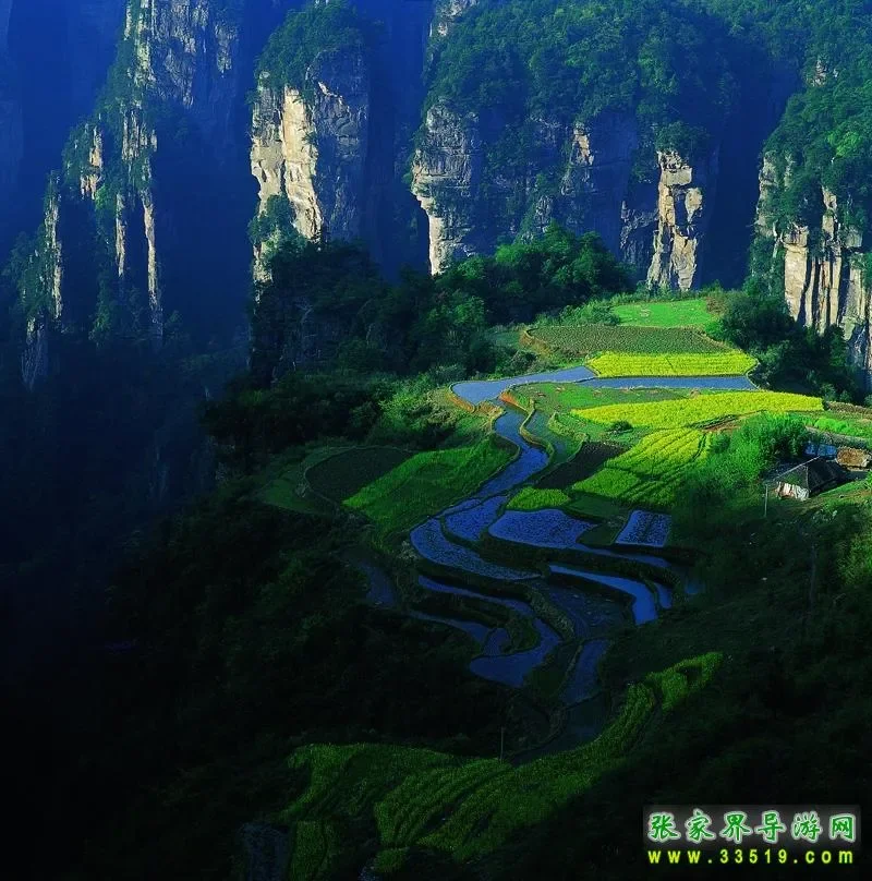 

Коврики в багажник автомобиля для Toyota Allion 2021-2023, водонепроницаемая подушка для защиты от царапин, подушка для хранения из ТПЭ