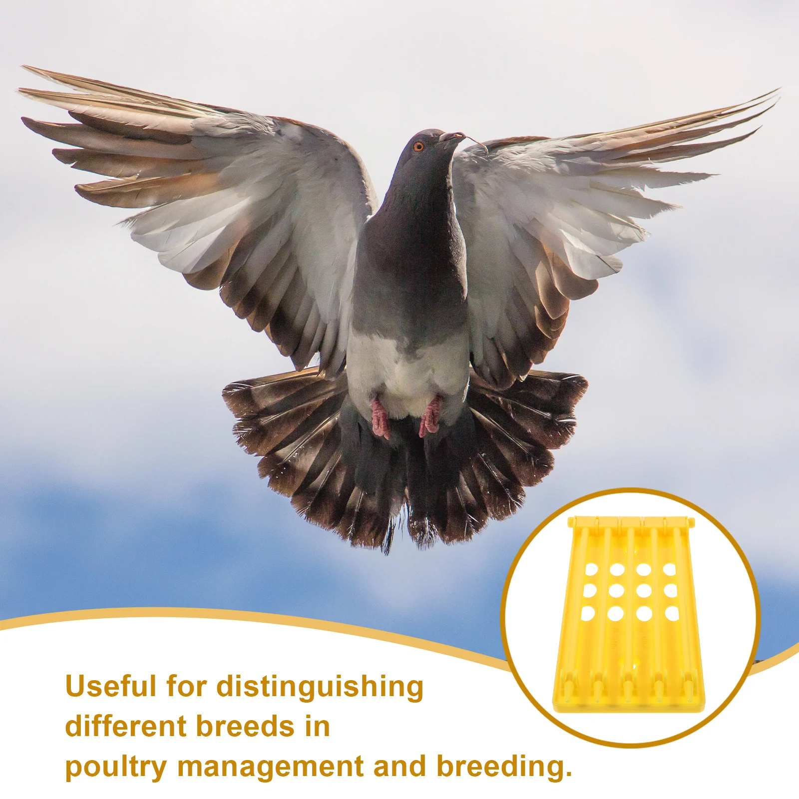 

Pigeon Leg Ring Holder Hanging Plastic Storage Rack Numbered Pigeon Identification Band Organizer Poultry Management Supplies