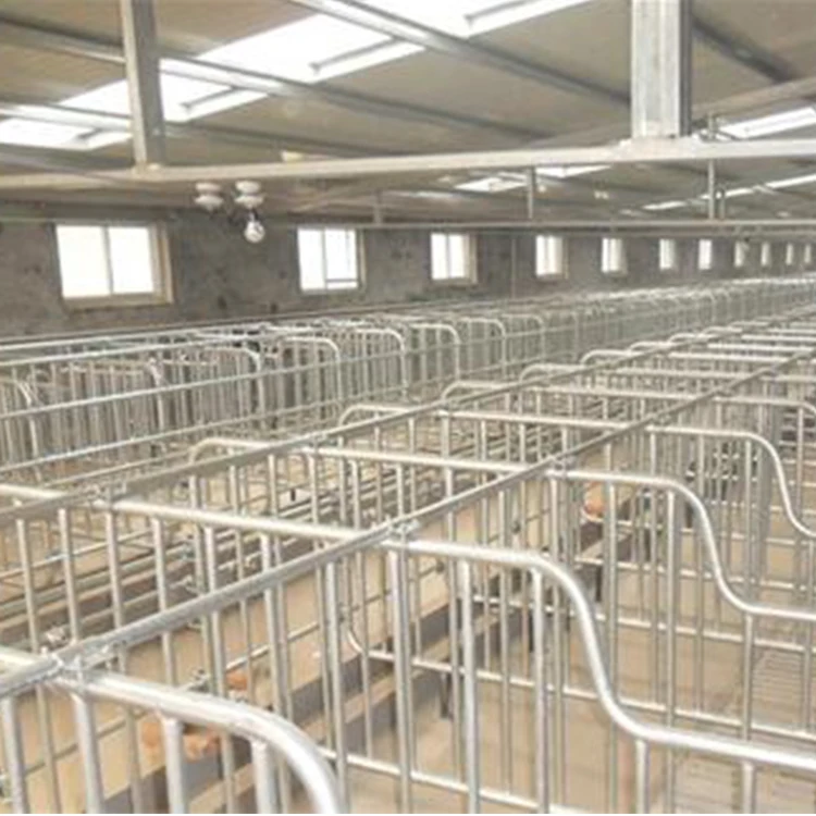 Galvanized Pig Gestation Crate/Pen Sow Stall Pig Farm Equipment Factory High Quality