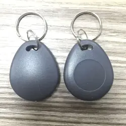 RFID Key Fob para Formato de Controle de Acesso, ISOCARD, Tag Chave RFID, 125KHz, 26Bit, H10301