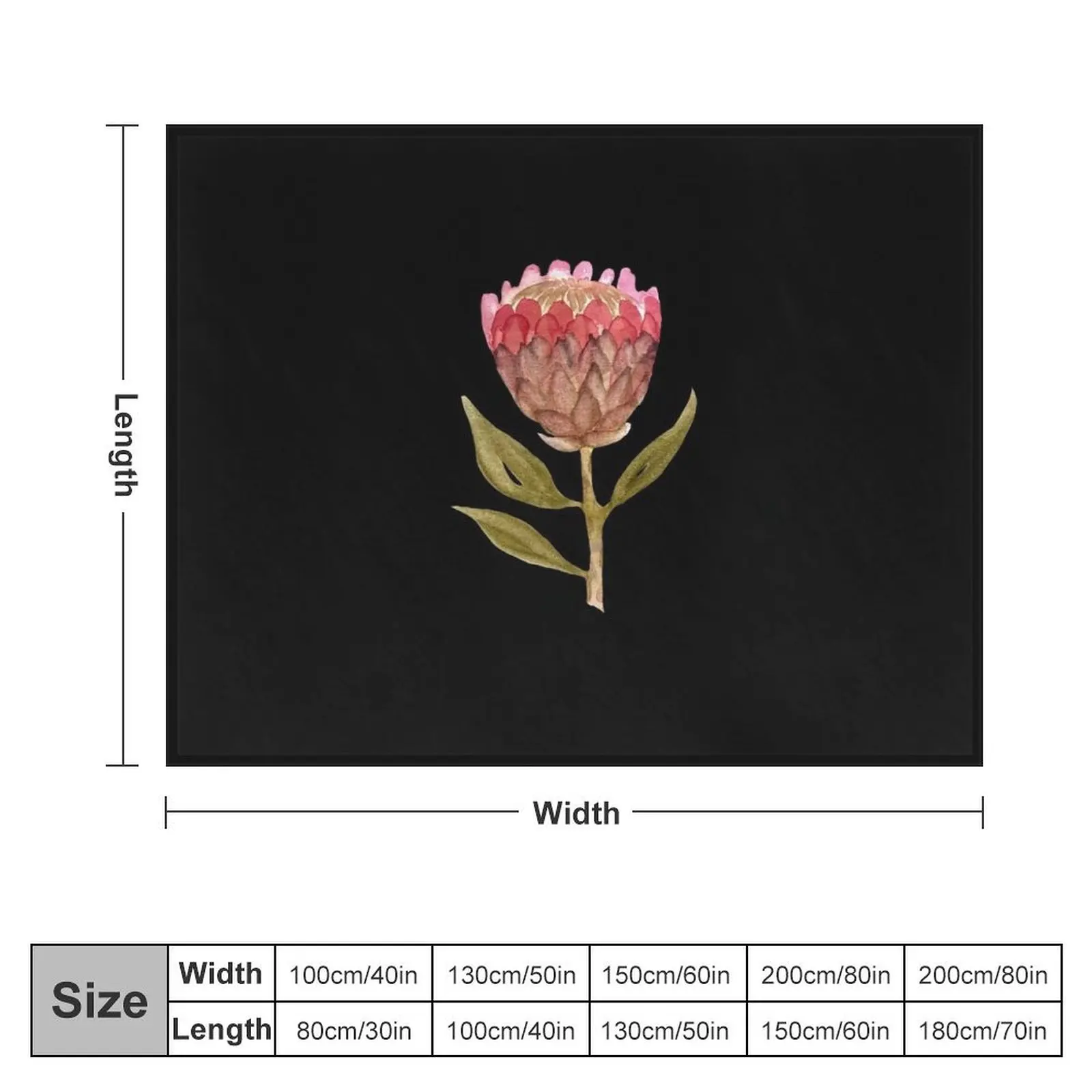 Watercolor protea illustration on black background Throw Blanket Fashion Sofas Moving Bed covers Blankets