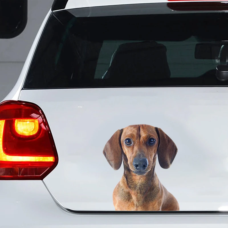 

Car Sticker Dachshund Dog Waterproof Vinyl Decal Car Accessories Decor Pegatinas Para Coche #V1361
