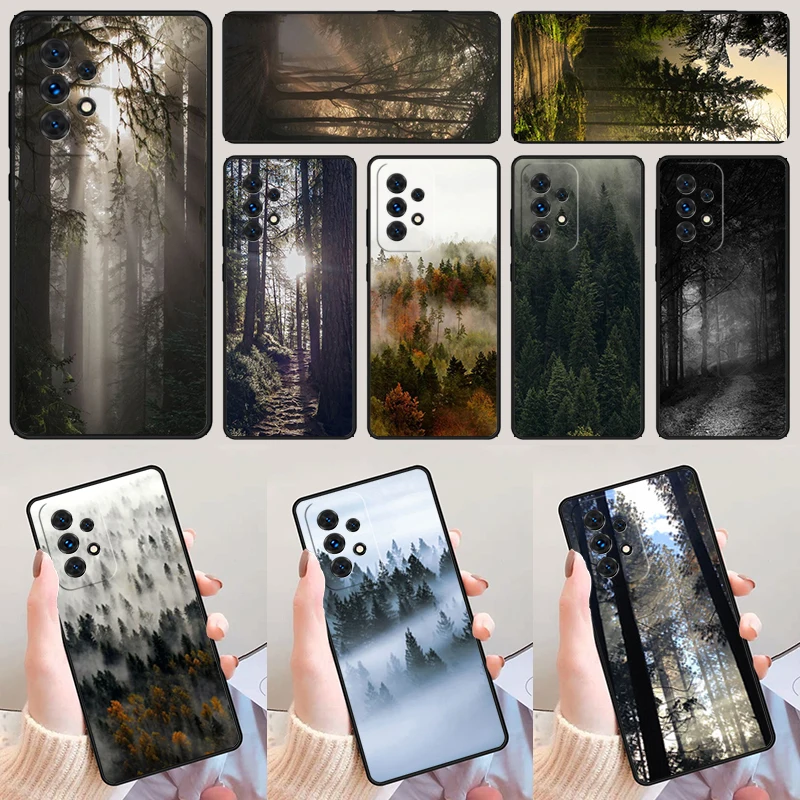 Beautiful Nature Fo… - image