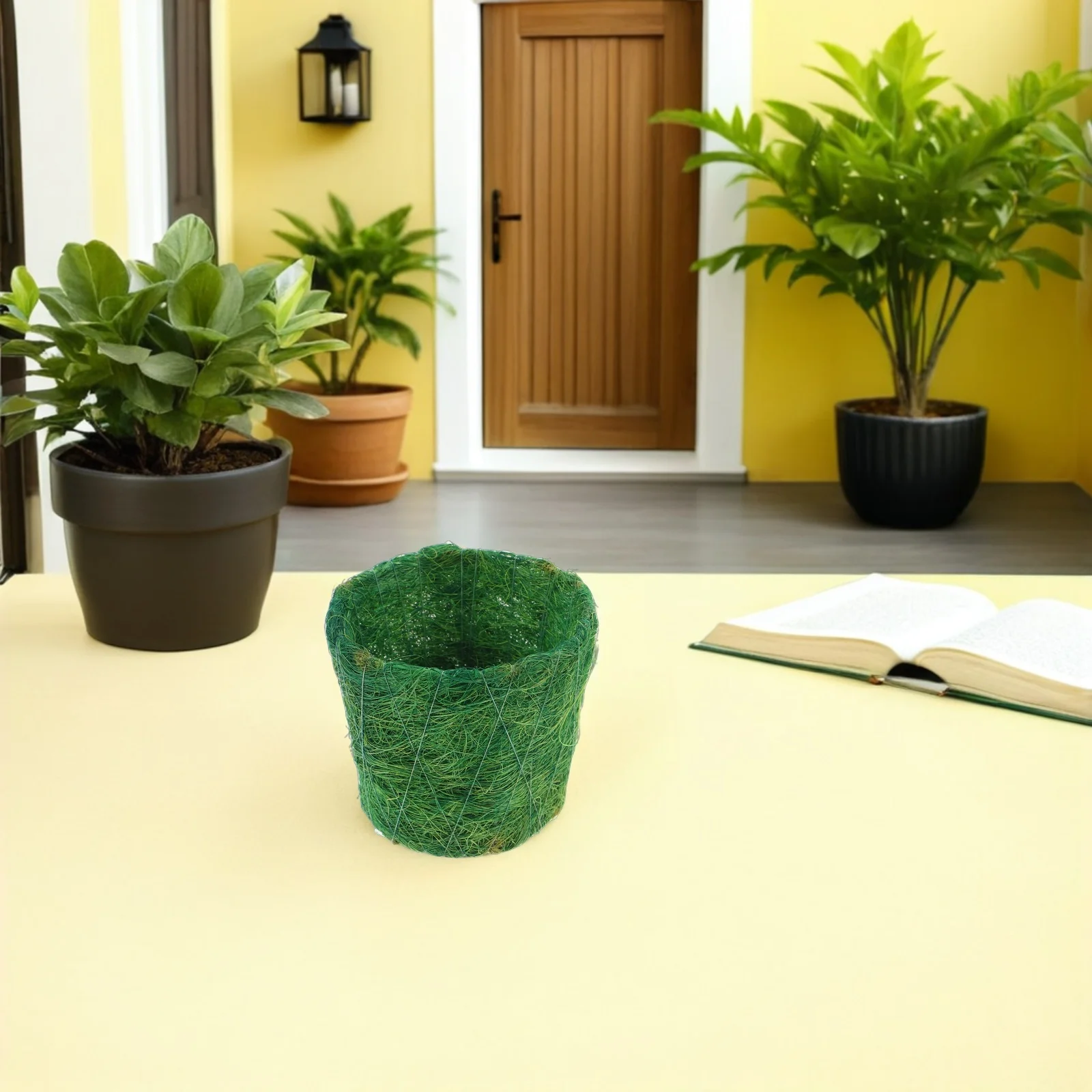 

Plant Basket Indoor Coconut Fiber Succulent Planter For Cactus Plants Woven Desktop Pot Green Decor Container