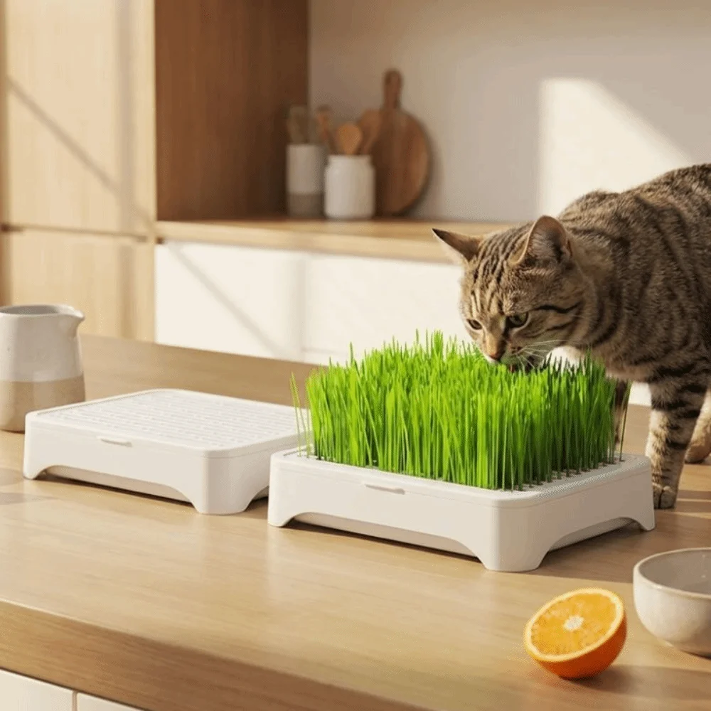 Plastic Cat Grass Planter Self-planted Tray Anti-Pull Out Soil-Free Nursery Box Growth System 3 Layer Wheat Seedling Pot