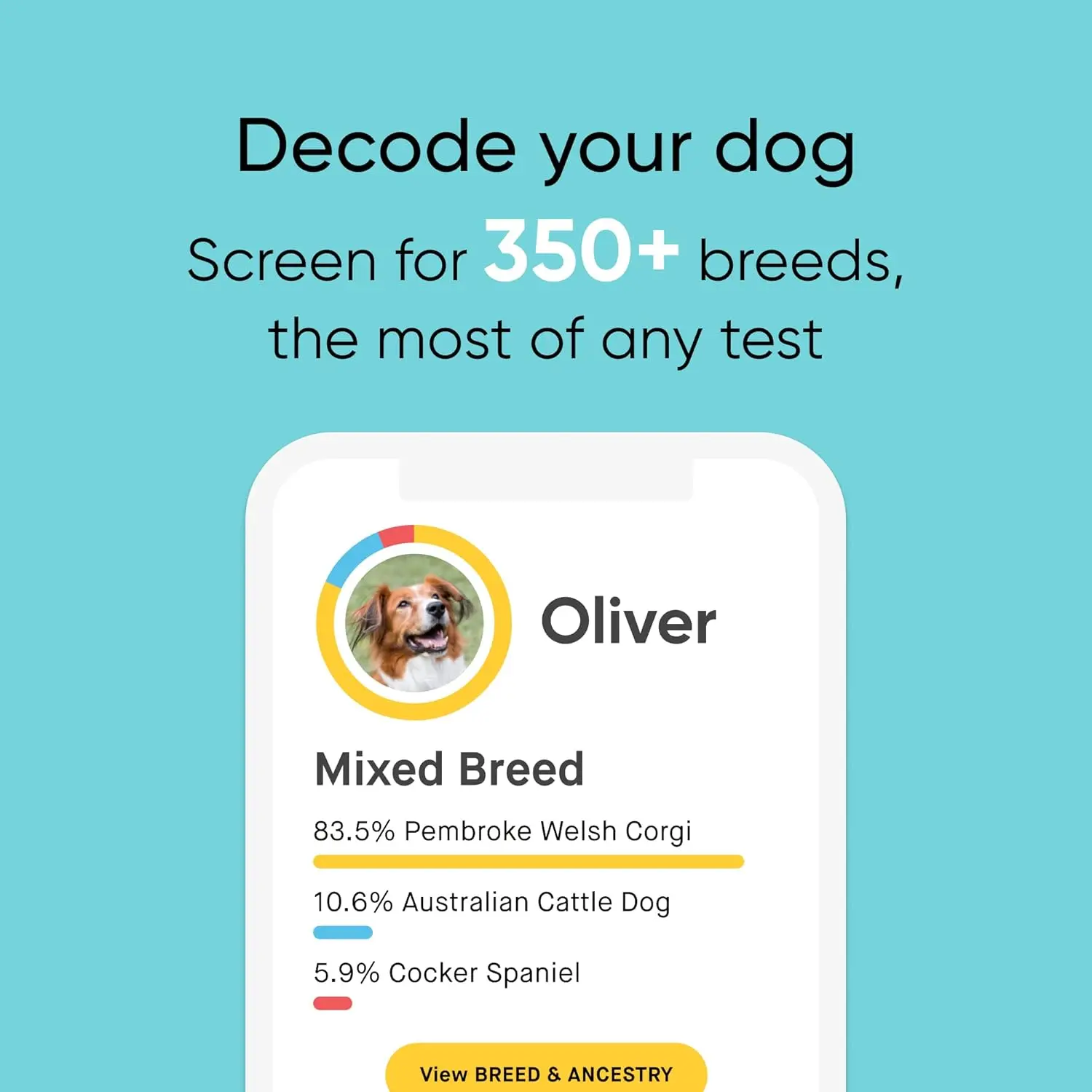 Breed Identification Kit - Most Accurate Dog DNA Testing Kit - 99% Breed Ancestry Accuracy for Mixed Breed Dogs