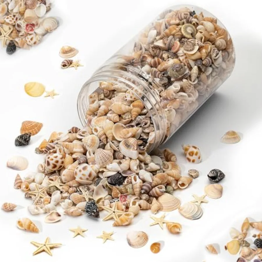 

1200 PCS tural Seashells Tiny sea Shells and Small Starfish for Decorations Mixed Ocean Beach Spiral Shells for Crafting Fish T