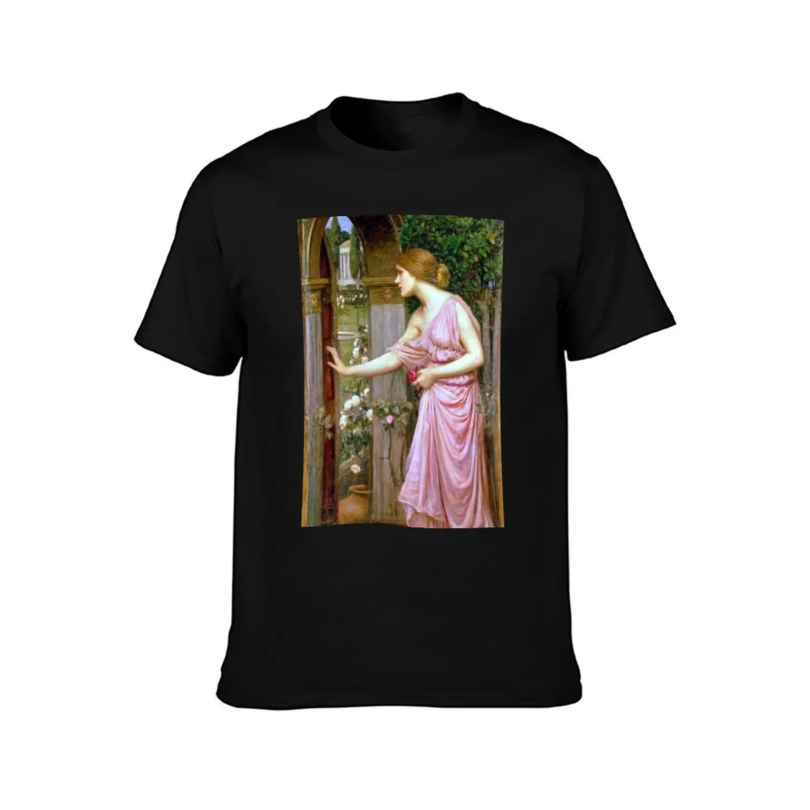 Psyche Entering Cupid's Garden - John William Waterhouse T-Shirt Holiday Simple Tee Shirt T-Shirt