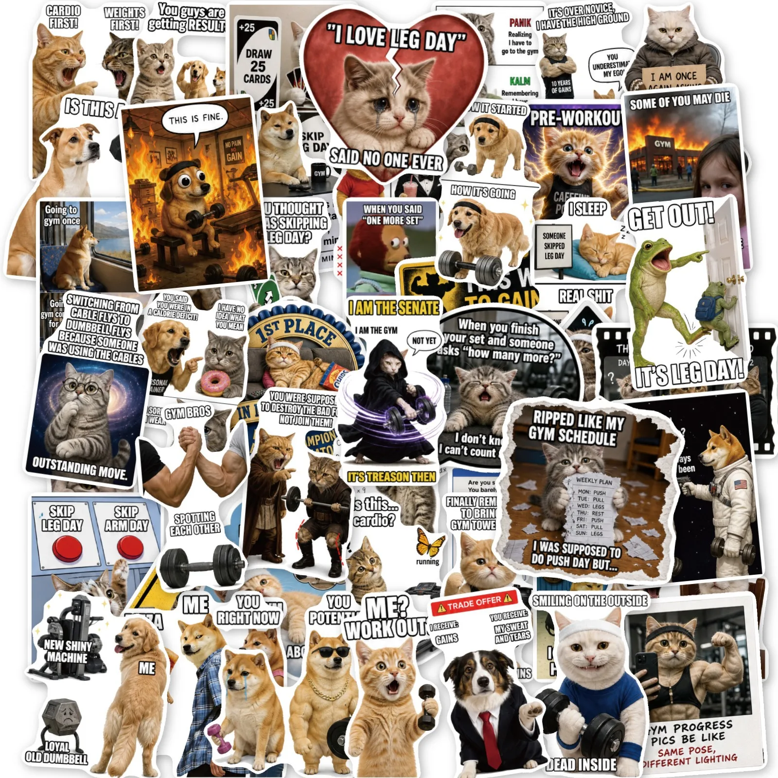 50Pcs Fitness Funny Meme Stickers, Waterproof Decals for DIY Decor on Notebook, Water Bottle & Skateboard