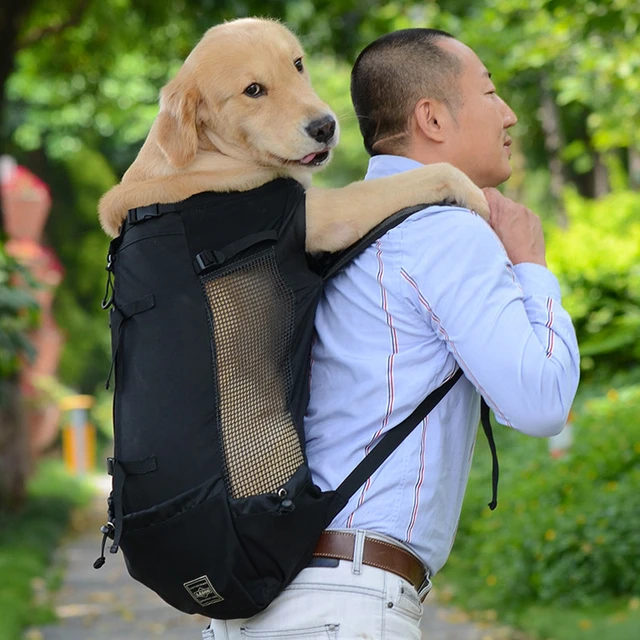 Fashion golden retriever carrier