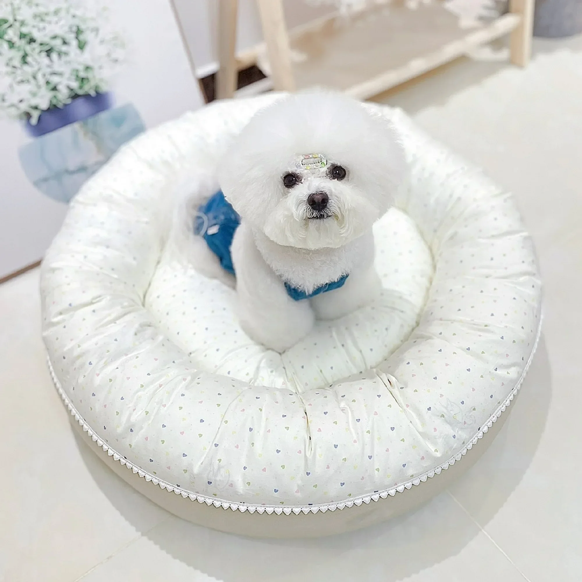 

Fluffy Warm Winter Pet Nest Luxury Deluxe Princess Cozy Bed Sofa Bench Dog Cat Puppy Kitten Kennel NestCushion Items Supplies