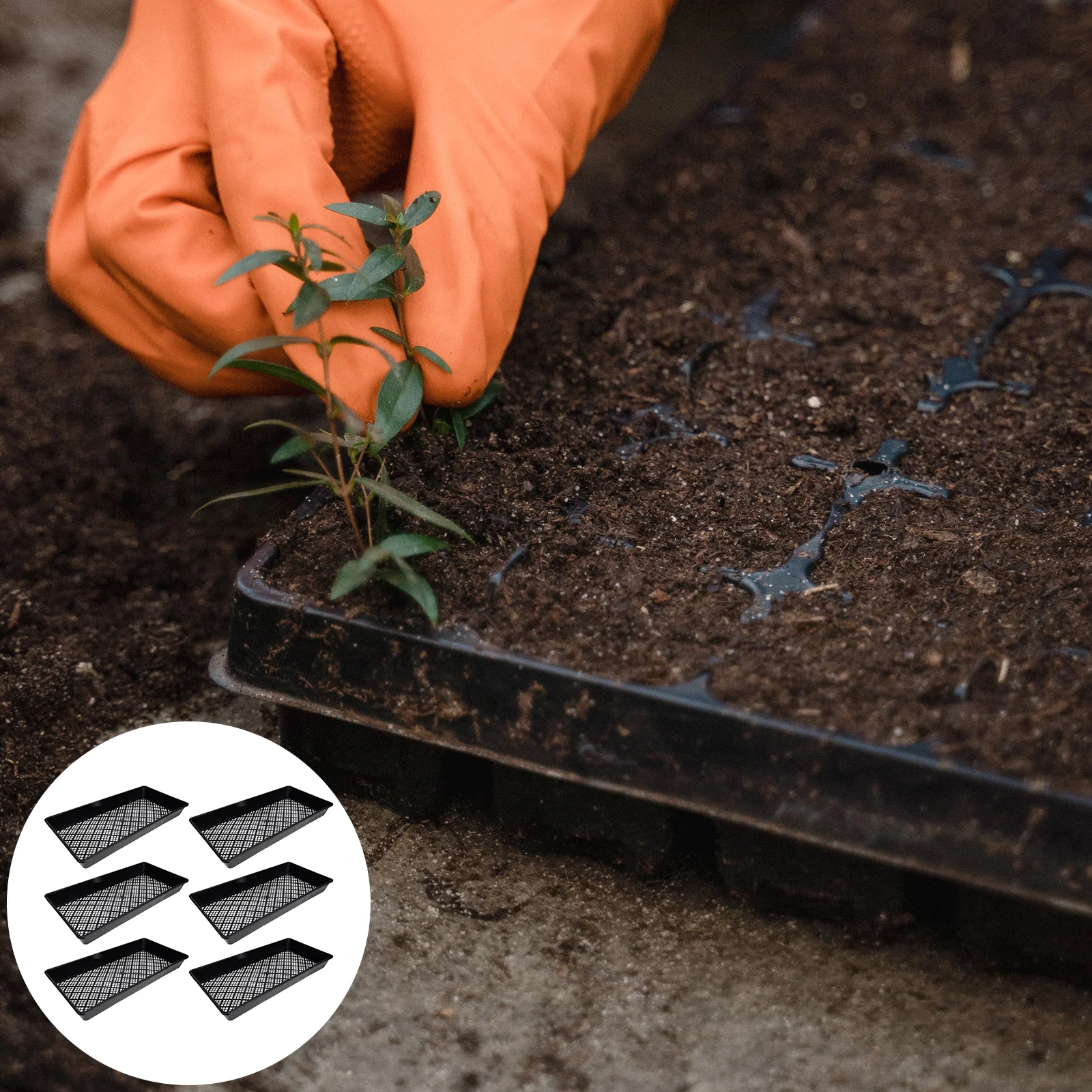 

6 Pcs Plants Growing Trays Microgreens Potting Nursery for Garden Planter Pots Planting
