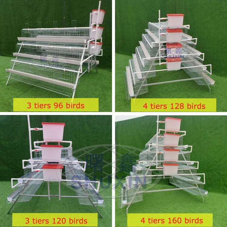 layer cages egg chicken cage 96 chickens poultry farm