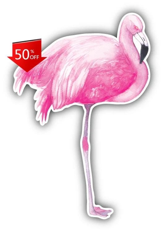 

Pink Flamingo Watercolor Aesthetic Car Laptop Window Bumper Waterproof Vinyl Decal Accessory Unique Vintage Vintage Cool